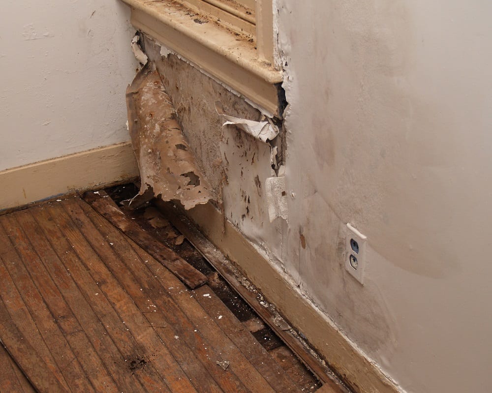 Water Damage Repair near me