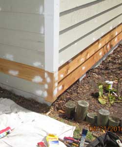 Wood Rot Repairs near me